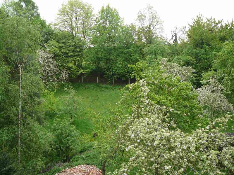 Datei:Garten1.jpg